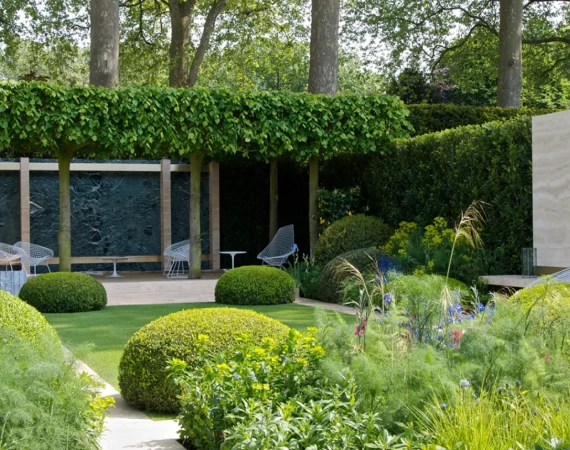 home image 2